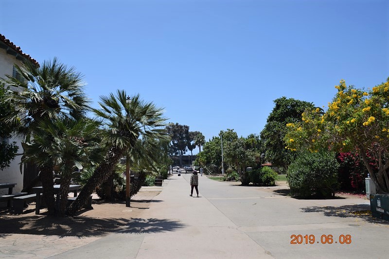 DSC_0332 (Kopiowanie).JPG