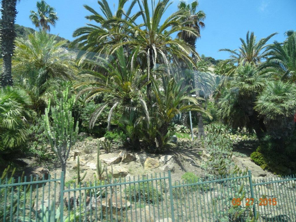 Podbój Iberii cz. II 531.jpg