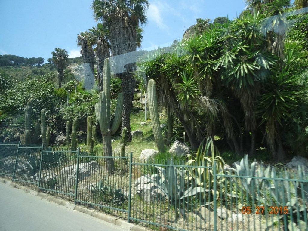 Podbój Iberii cz. II 535.jpg