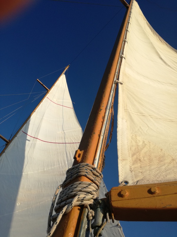 IMG_20180909_182038 (1).jpg