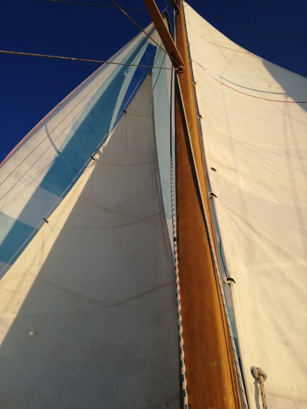 IMG_20180909_183712 (1).jpg