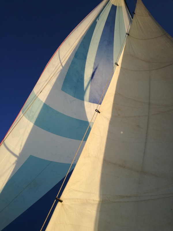 IMG_20180909_183803 (1).jpg