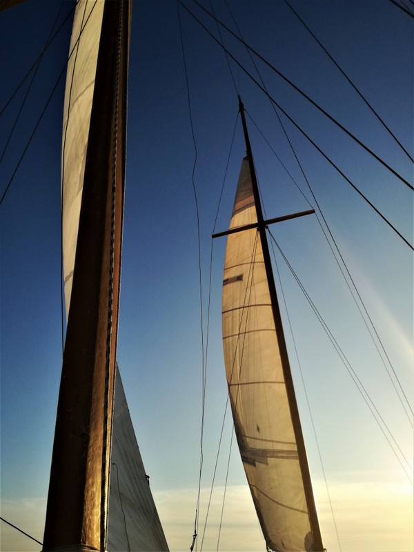 IMG_20180909_183827 (1).jpg