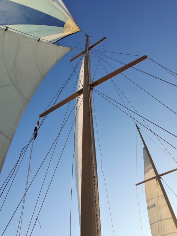 IMG_20180909_184235 (1).jpg