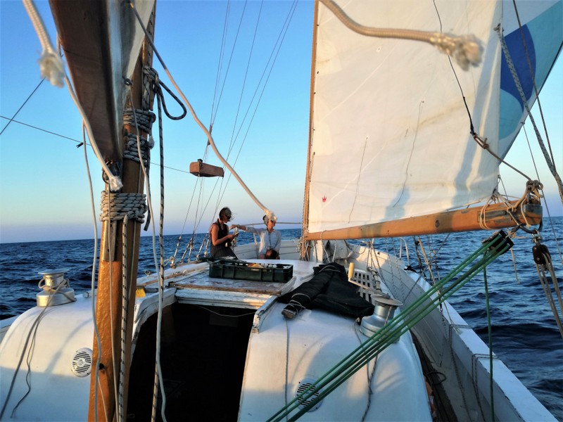 IMG_20180909_185110 (1).jpg