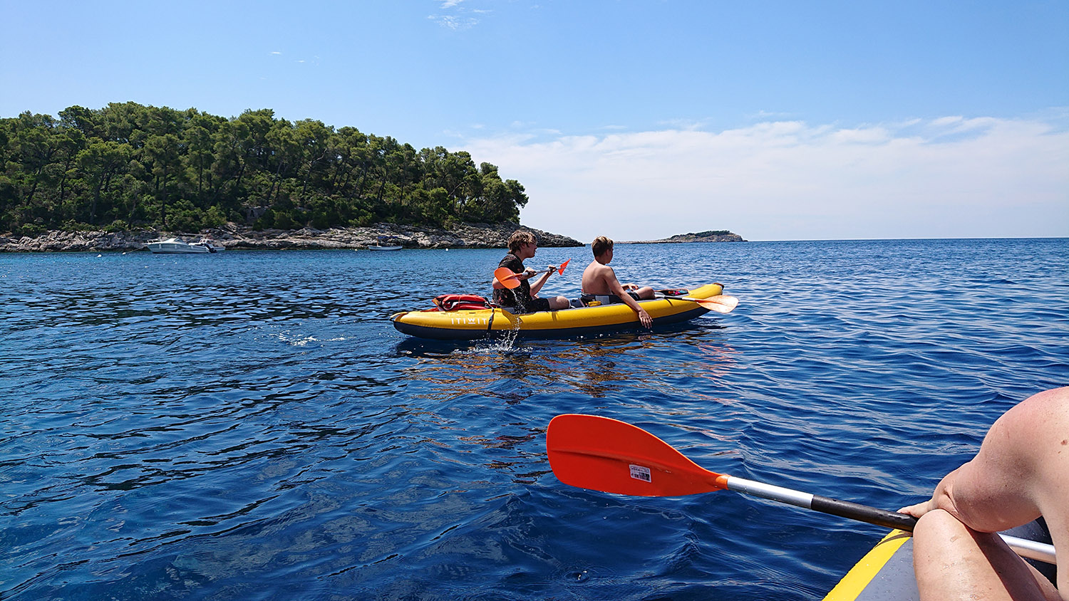 DSC_0782.JPG DSC_0782.JPG