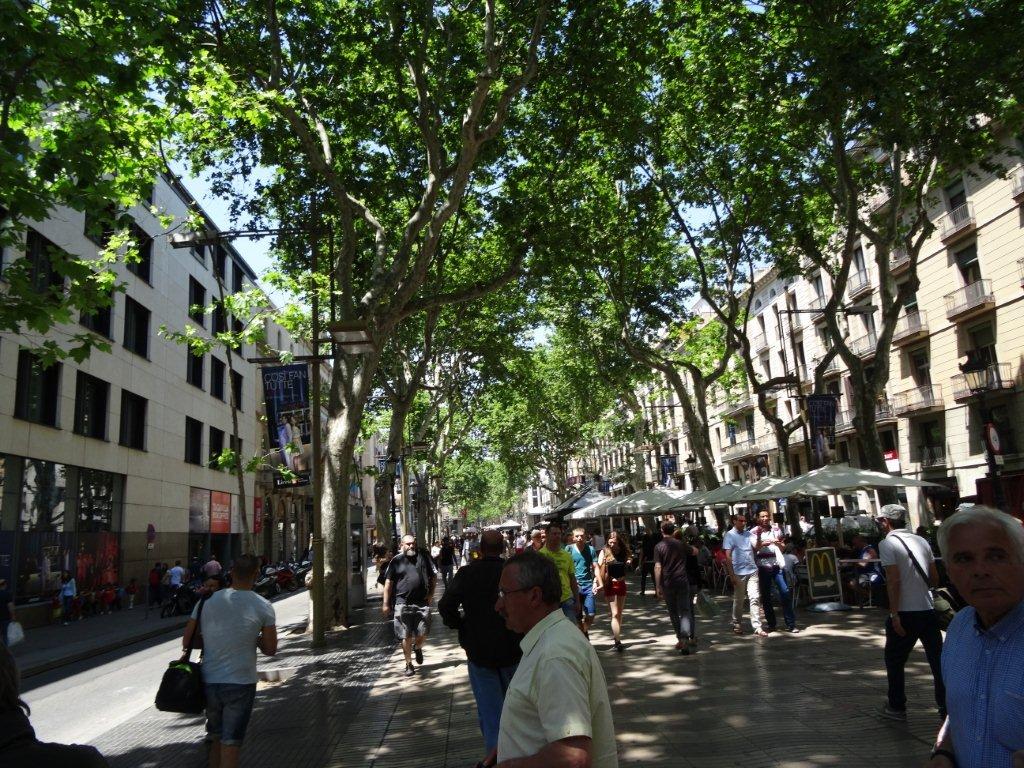 Podbój Iberii cz. II 681.jpg