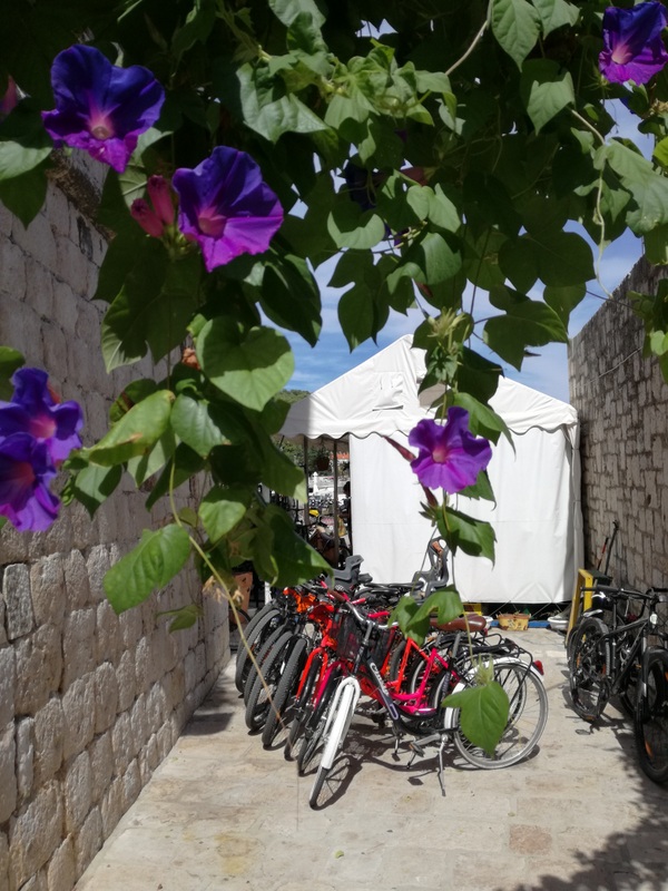 IMG_20180911_124936 (1).jpg