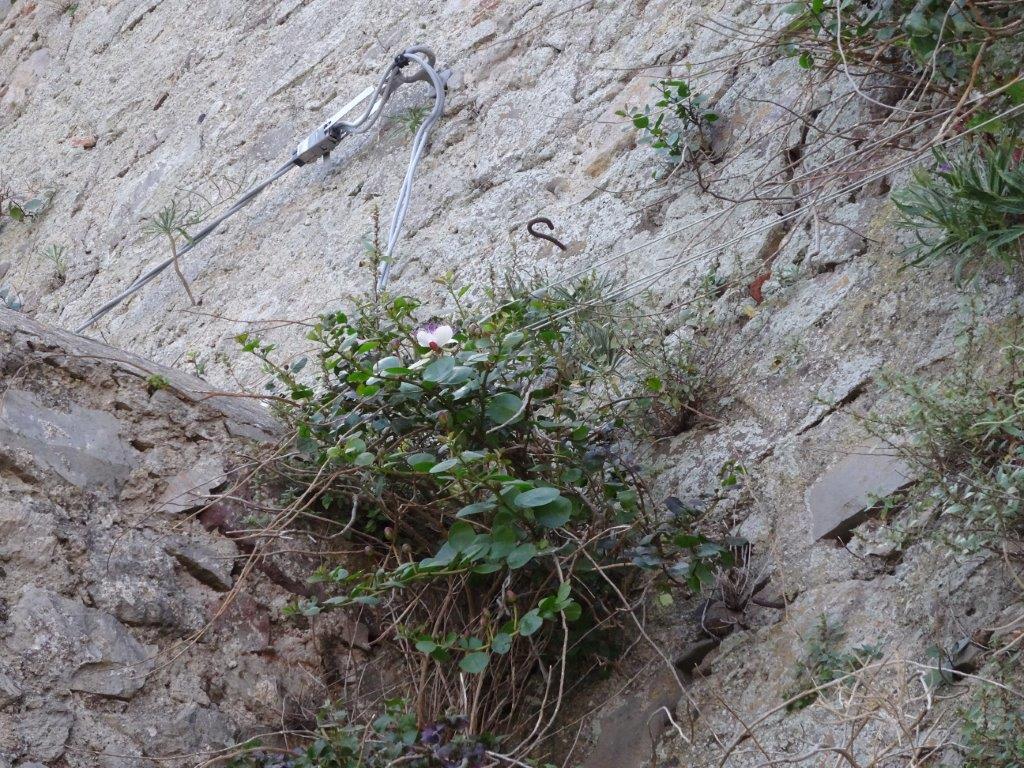 Sycylia cz.1 269.jpg