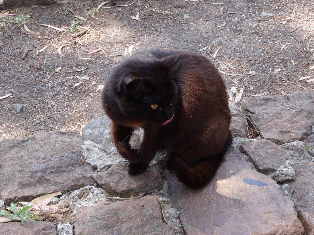 Sycylia cz.1 293.jpg