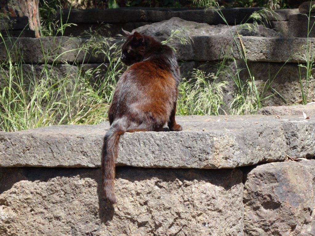 Sycylia cz.1 294.jpg