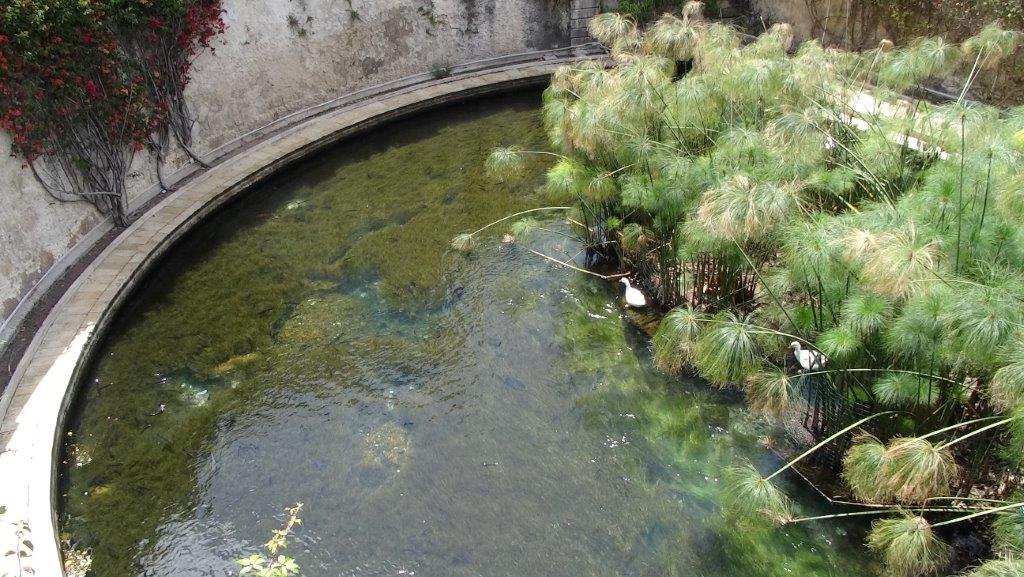 Sycylia cz.1 450.jpg