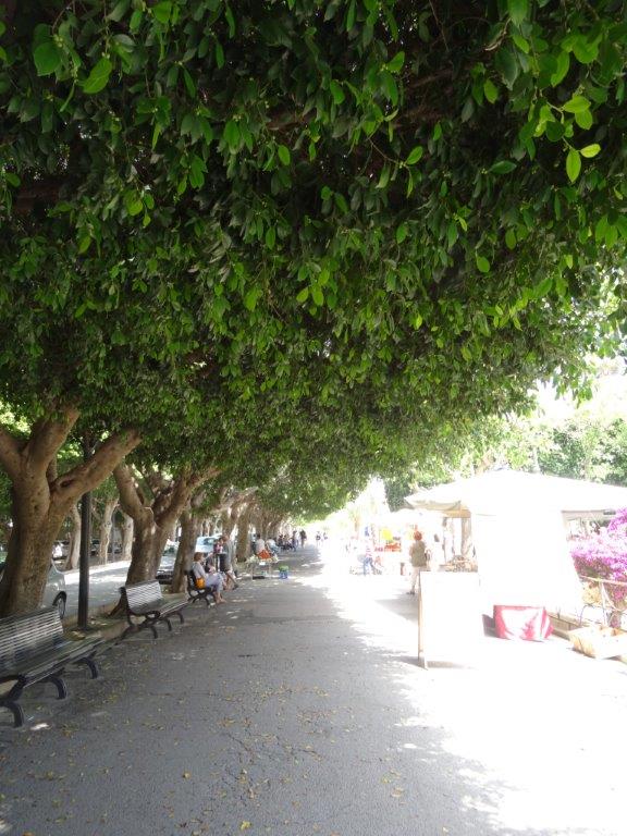 Sycylia cz.1 539.jpg