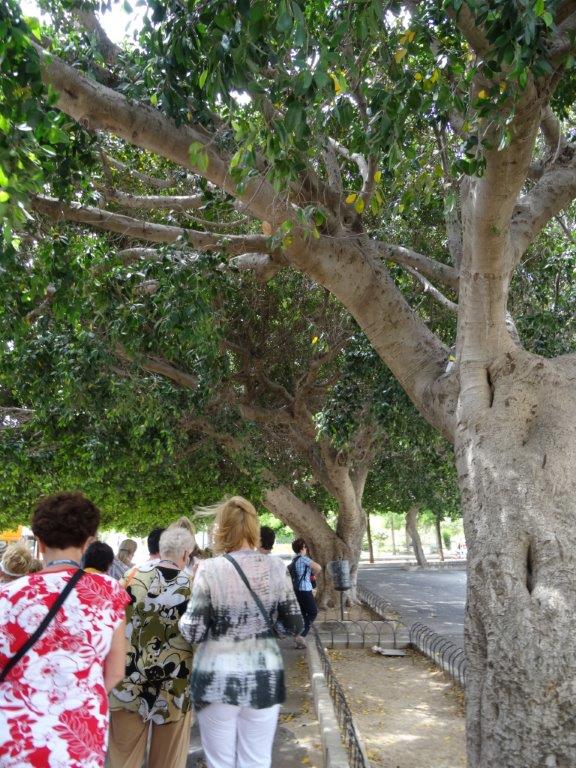 Sycylia cz.1 497.jpg