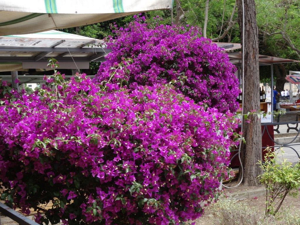 Sycylia cz.1 498.jpg