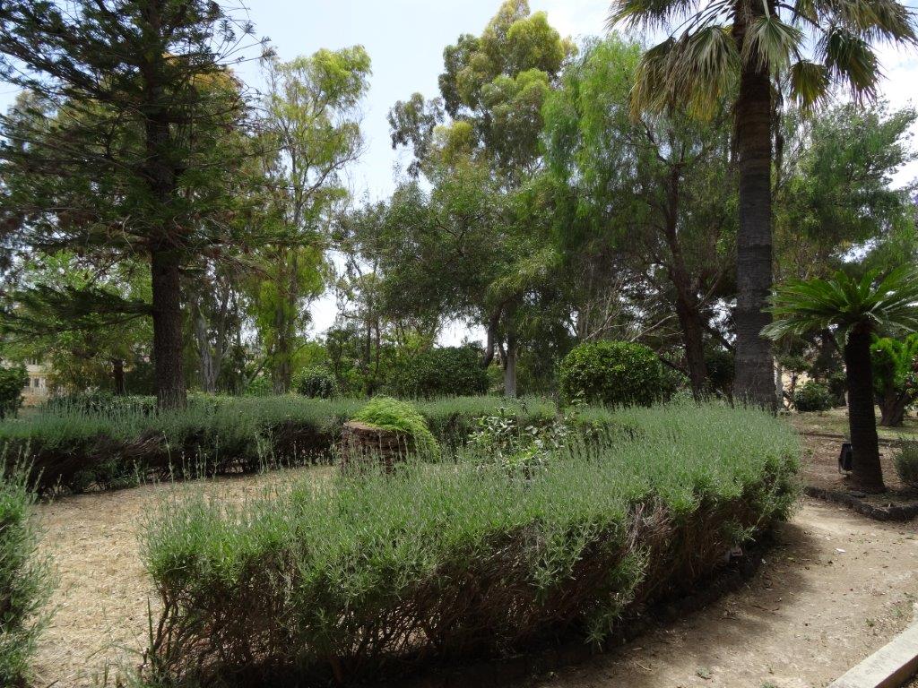 Sycylia cz.1 499.jpg