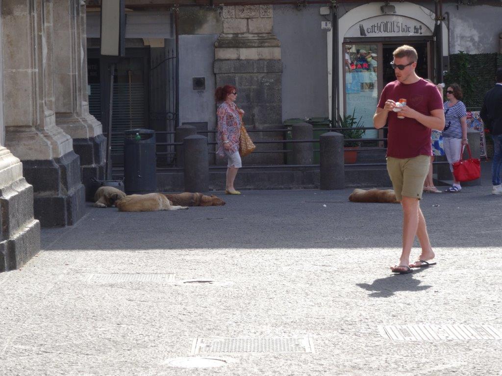 Sycylia cz.1 585.jpg