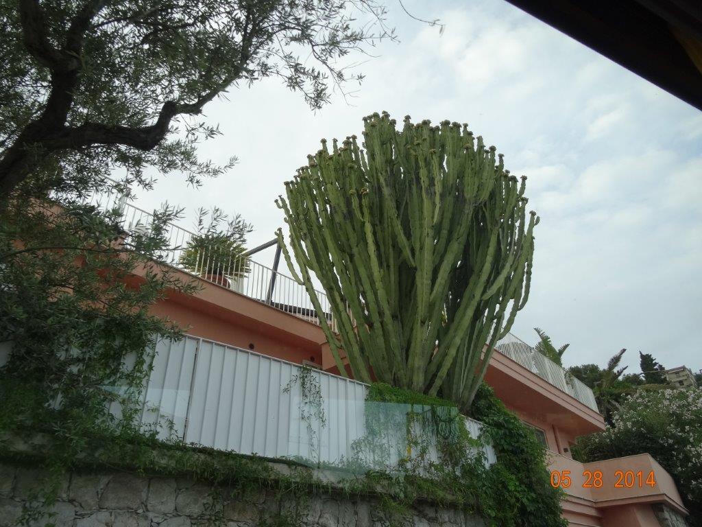 Sycylia cz.1 662.jpg