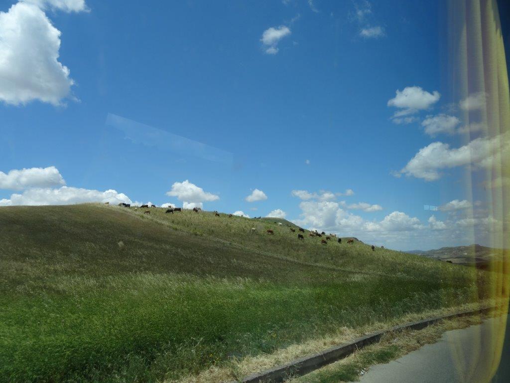 Sycylia cz.1 818.jpg