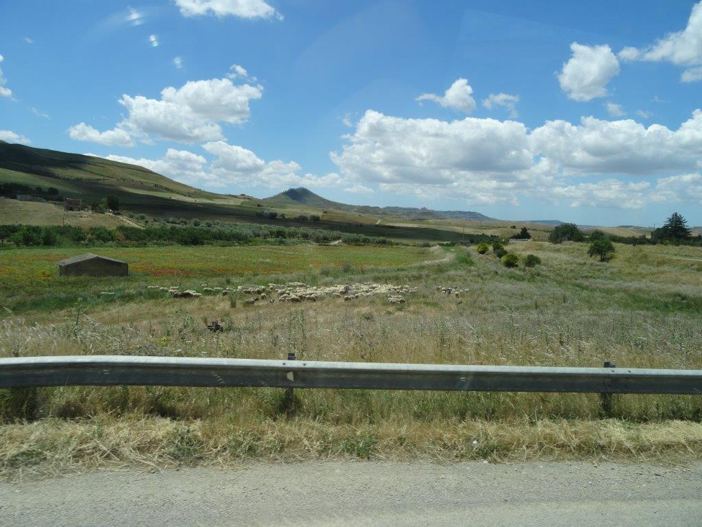 Sycylia cz.1 819.jpg