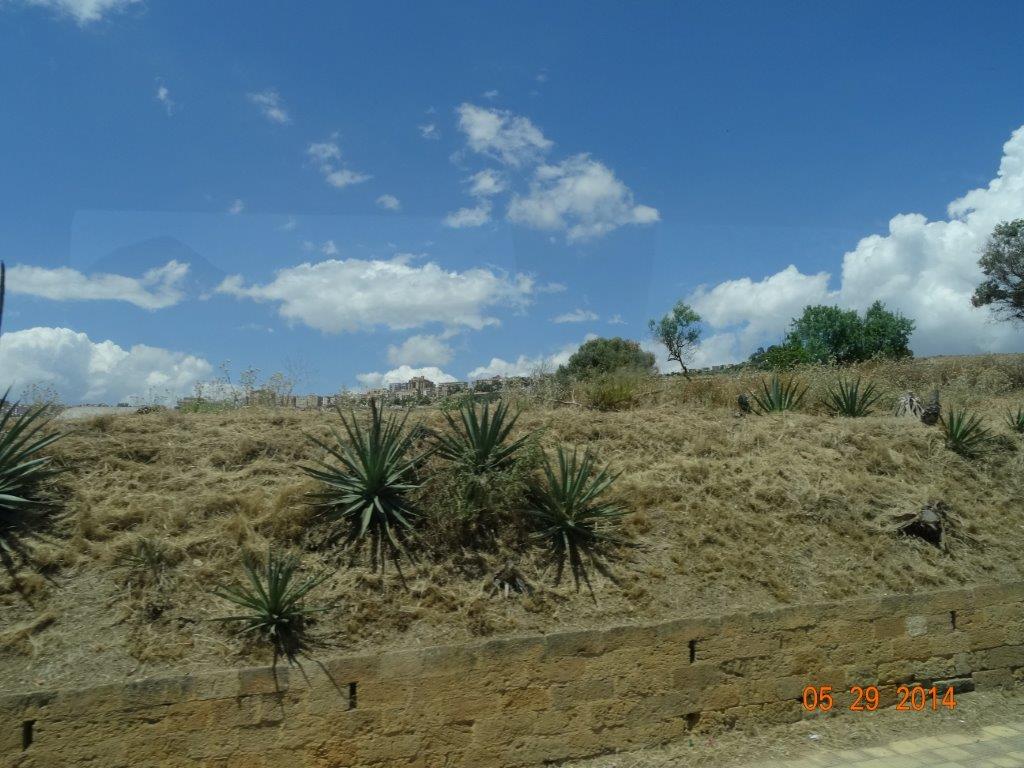 Sycylia cz.1 834.jpg