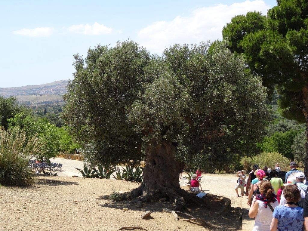 Sycylia cz.1 849.jpg