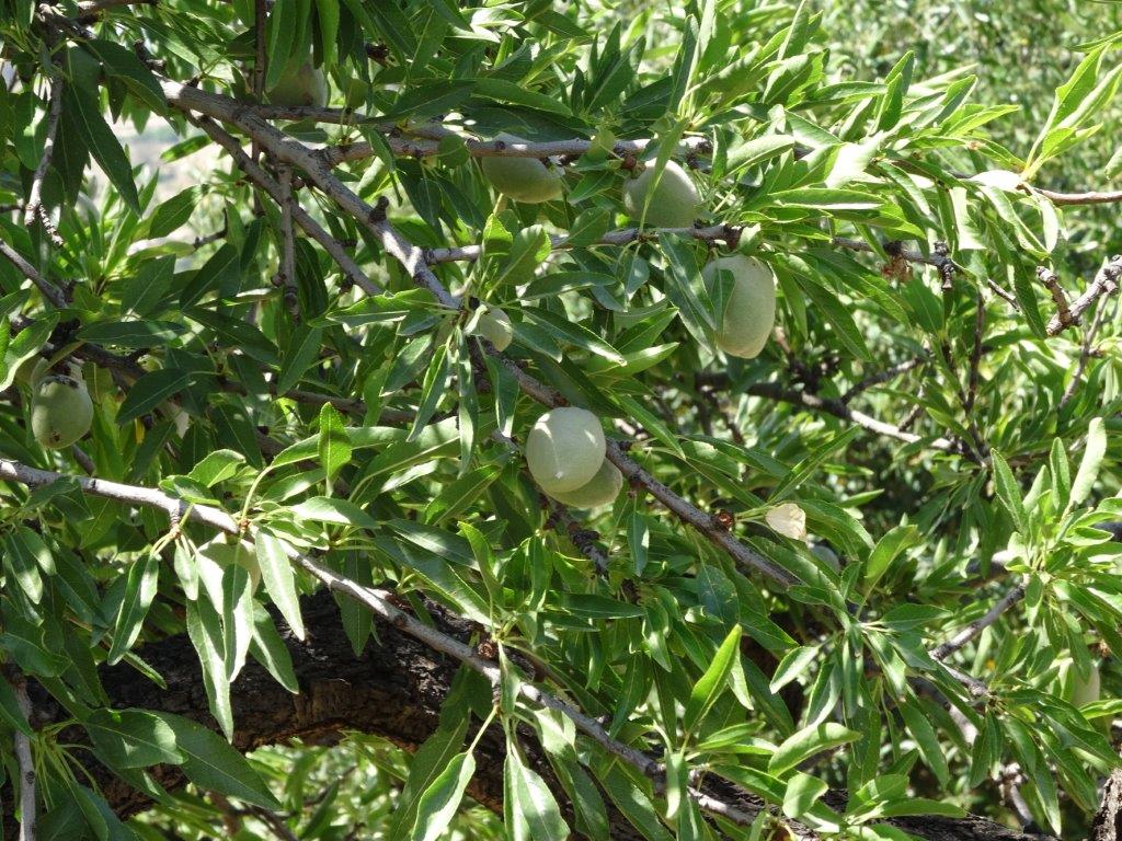 Sycylia cz.1 851.jpg