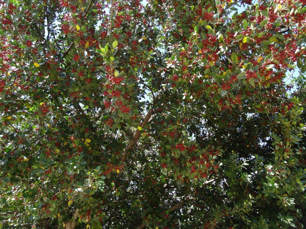 Sycylia cz.1 862.jpg