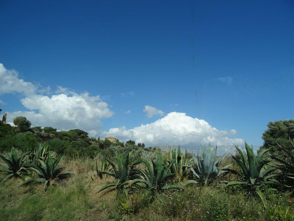 Sycylia cz.1 897.jpg