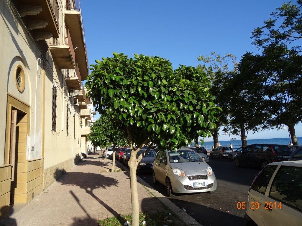 Sycylia cz.1 929.jpg