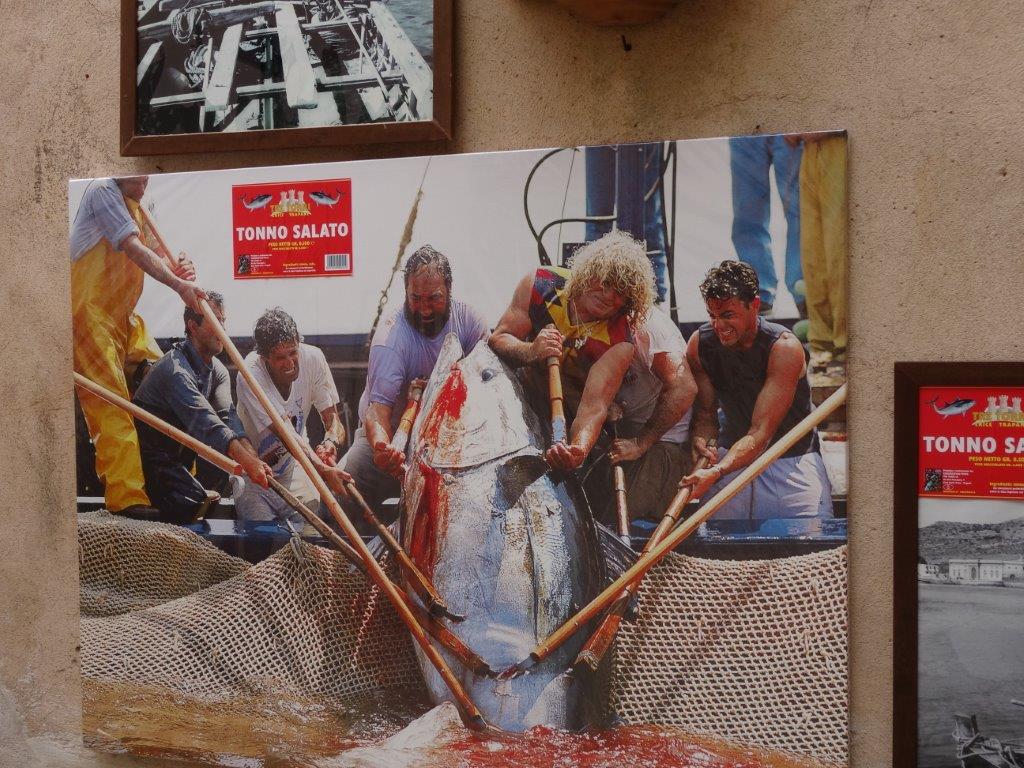 Sycylia cz.1 1087.jpg