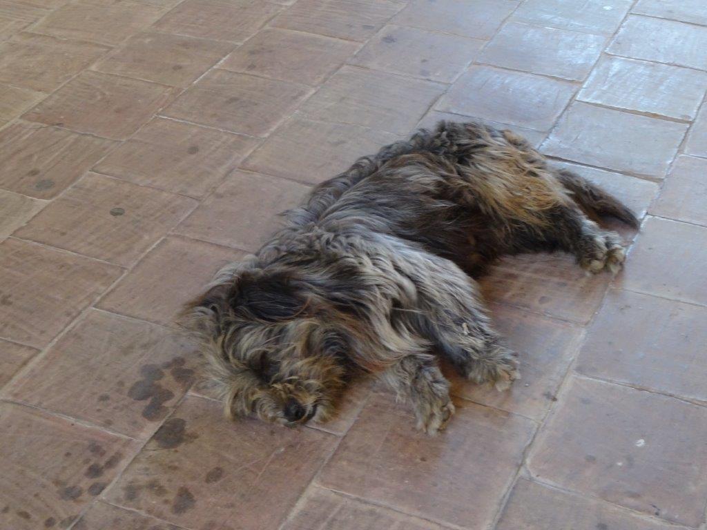 Sycylia cz.1 1269.jpg