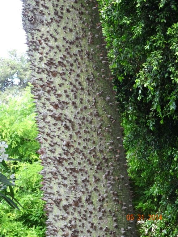 Sycylia cz 2 014.jpg