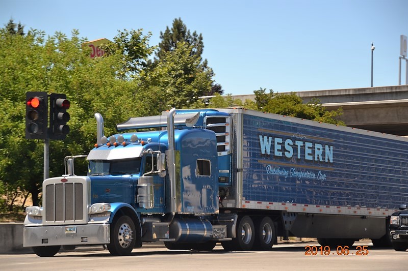 DSC_0952 (Kopiowanie).JPG