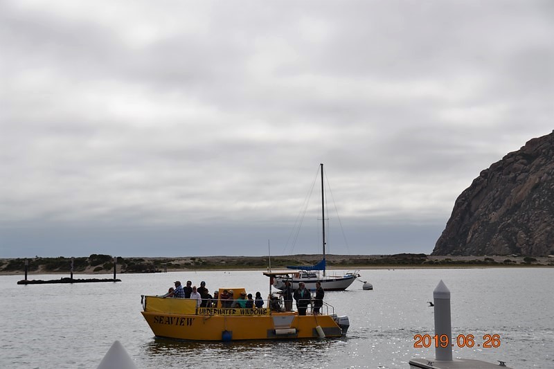 DSC_0043 (Kopiowanie).JPG