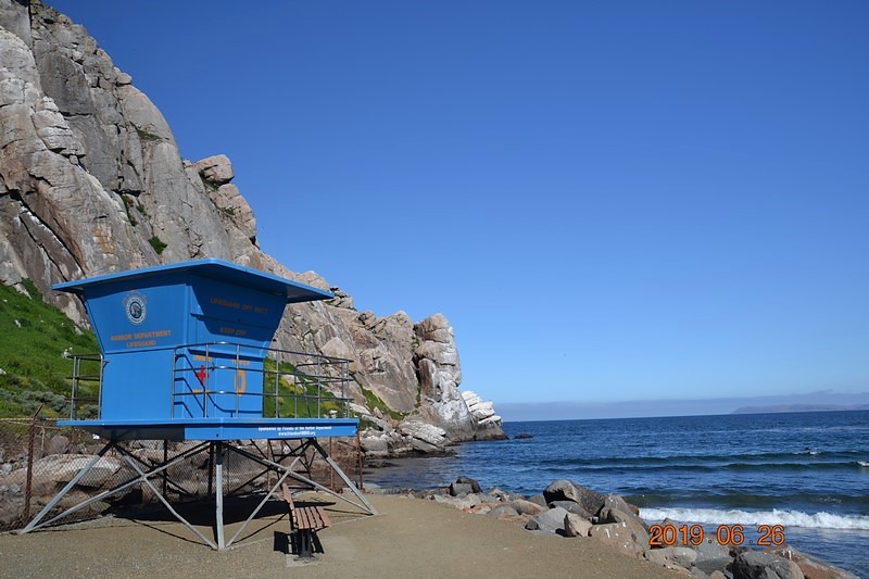 DSC_0169 (Kopiowanie).JPG