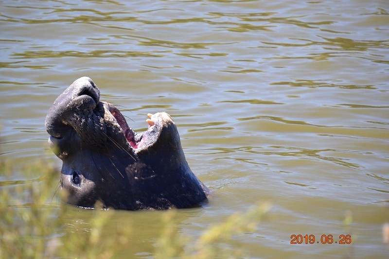 DSC_0314 (Kopiowanie).JPG