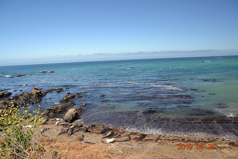 DSC_0397 (Kopiowanie).JPG