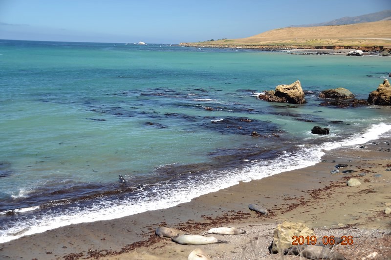 DSC_0399 (Kopiowanie).JPG