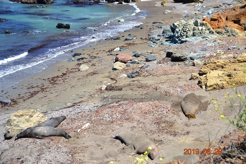 DSC_0407 (Kopiowanie).JPG