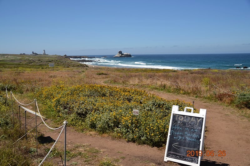 DSC_0421 (Kopiowanie).JPG