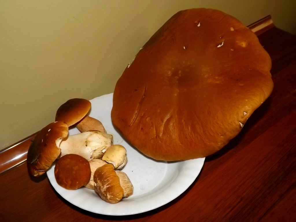 Pierwszy zbiór 2015.JPG