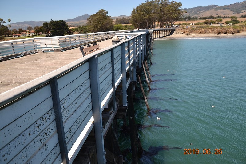 DSC_0686 (Kopiowanie).JPG