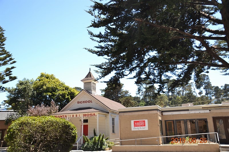 DSC_0765 (Kopiowanie).JPG