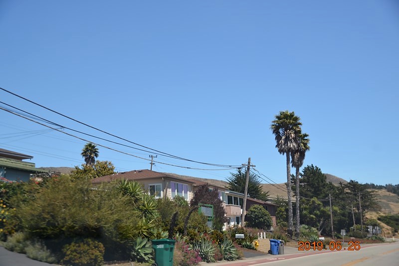 DSC_0817 (Kopiowanie).JPG