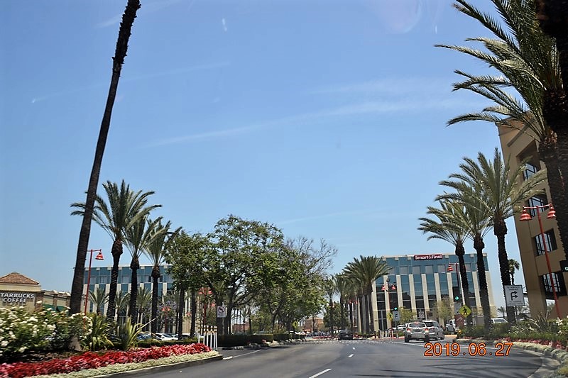 DSC_0970 (Kopiowanie).JPG