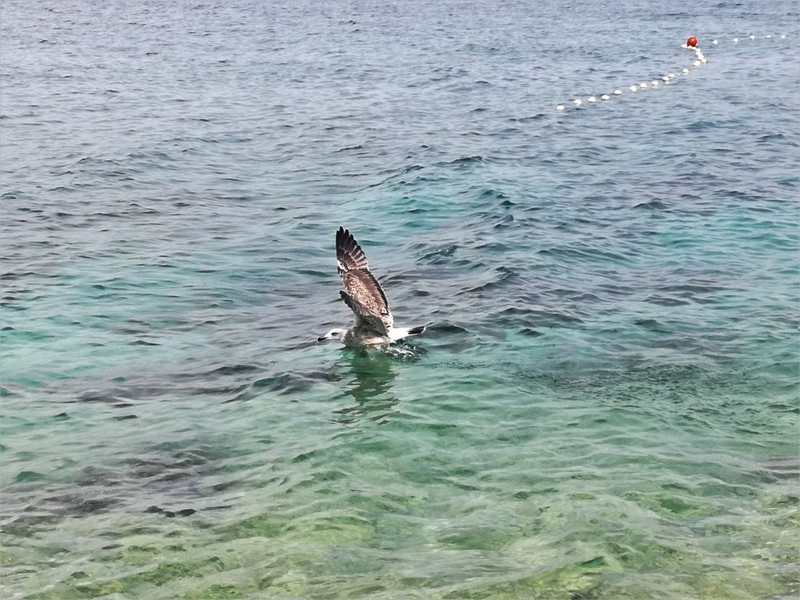 IMG_20180915_152750 — kopia.jpg