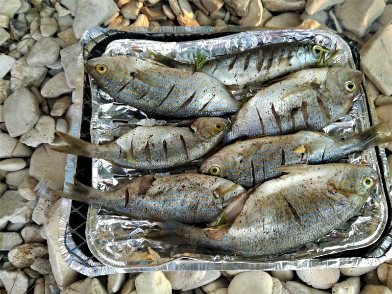 IMG_20180915_182114 — kopia.jpg