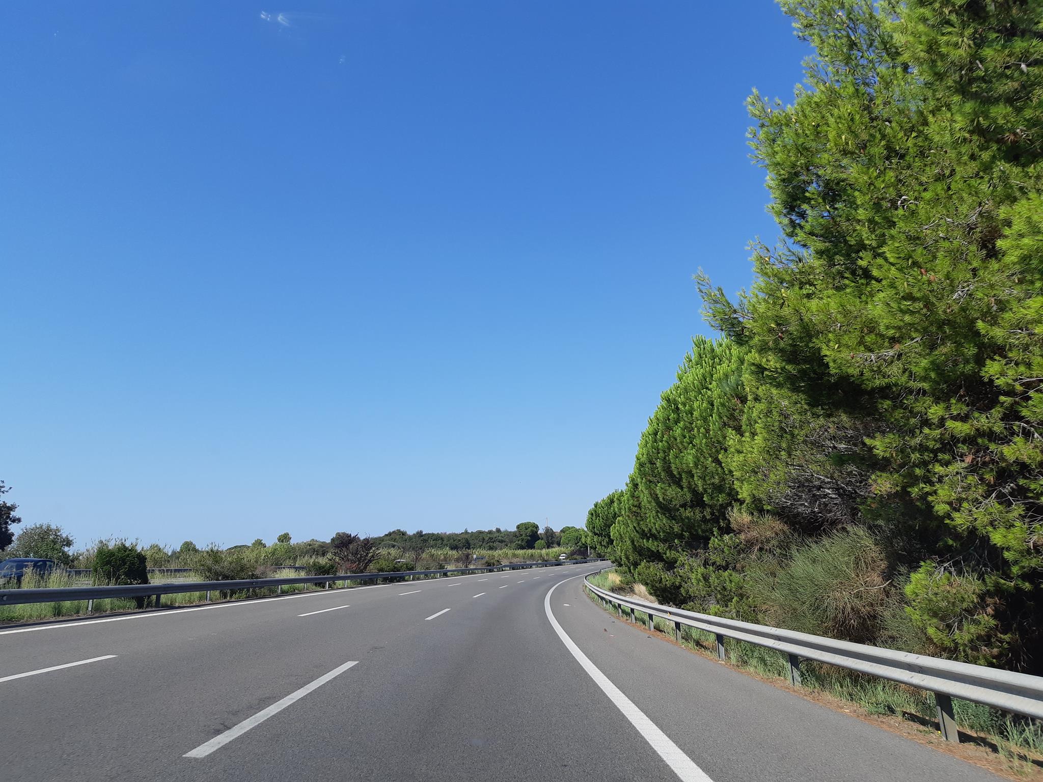 20190802_102443 (Copy).jpg