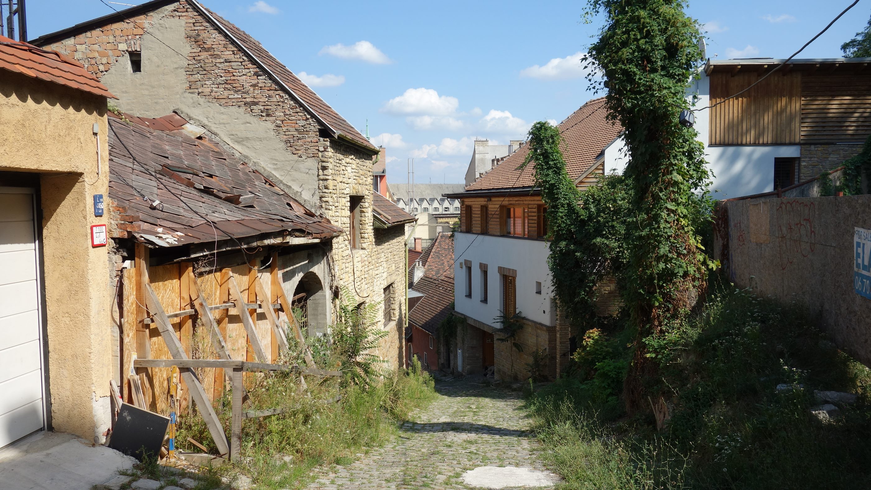 DSC08371.JPG